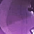 Mor