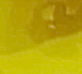 Sarı