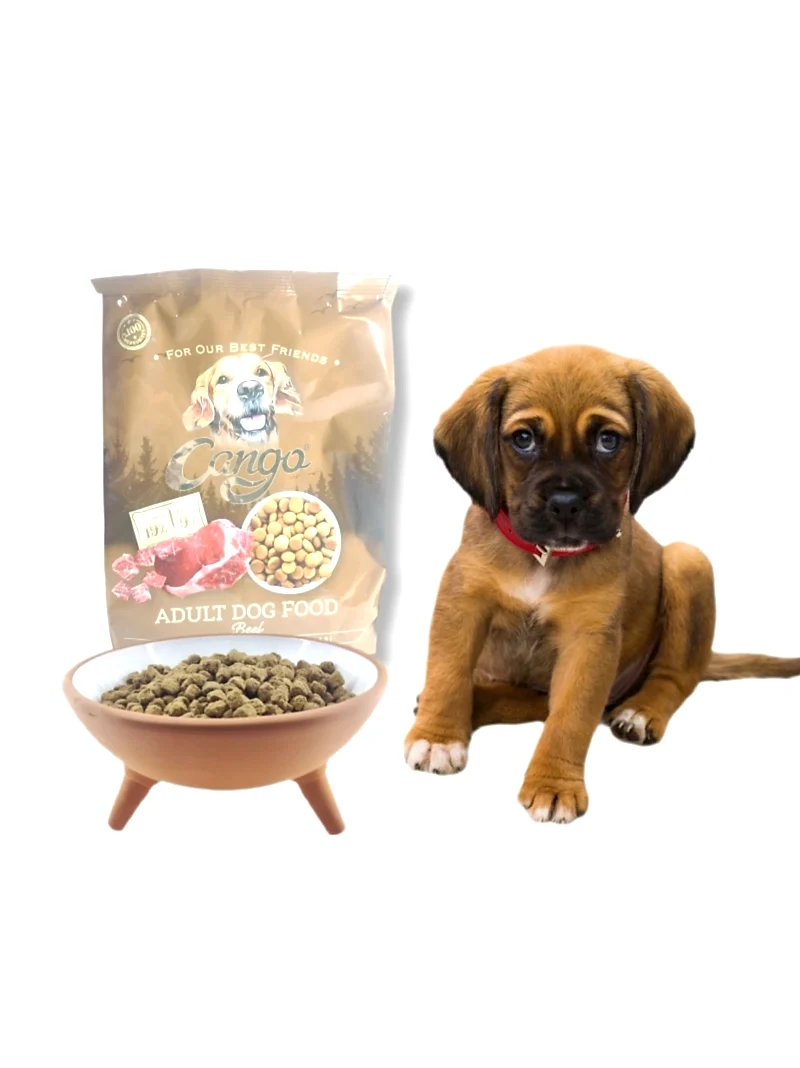 CANGO KÖPEK MAMASI 1KG