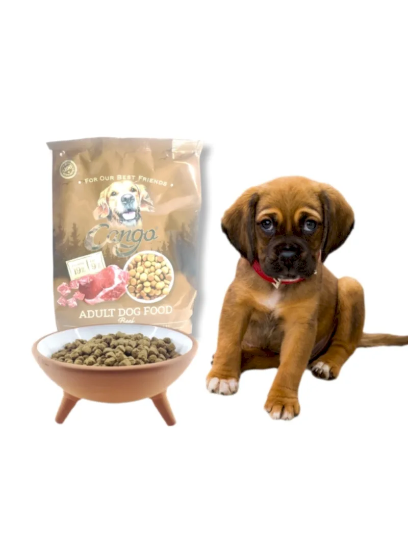 CANGO KÖPEK MAMASI 15KG