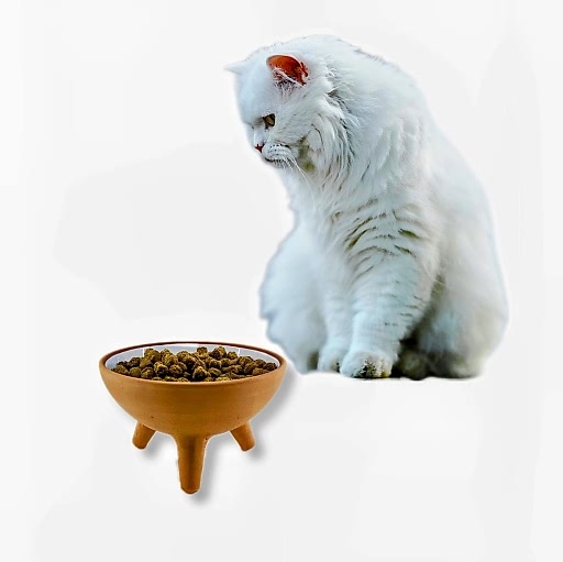 KEDİ-KÖPEK MAMA KABI