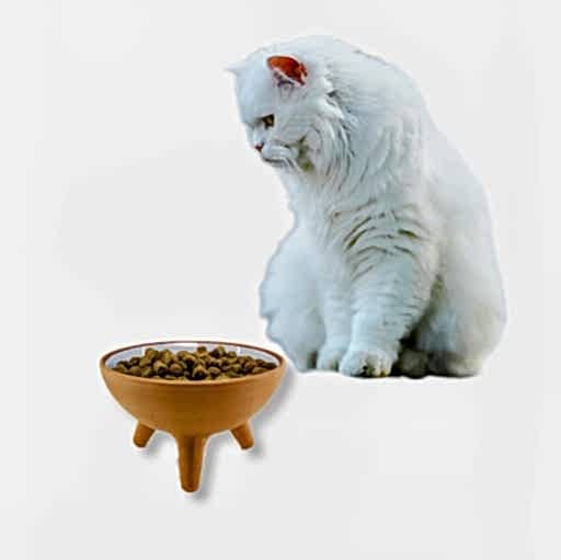 KEDİ-KÖPEK MAMA KABI