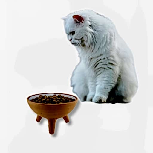 KEDİ-KÖPEK MAMA KABI
