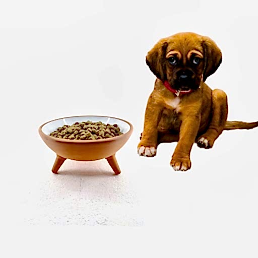 KEDİ-KÖPEK MAMA KABI